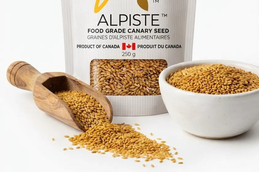 Alpiste Seeds 